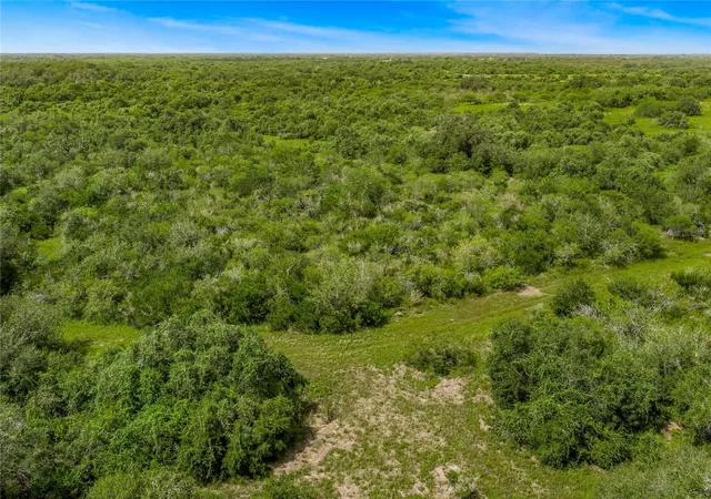 Photo 3 of Land for sale at 000 Mcguill Rd, Goliad, TX 77963 | MLS# 84281218 | Listing updated on 2026-08-26