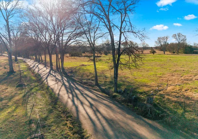 Photo 1 of Land for sale at 4315 County Rd, Cookville, TX 75571 | MLS# 11335030 | Listing updated on 2026-06-16