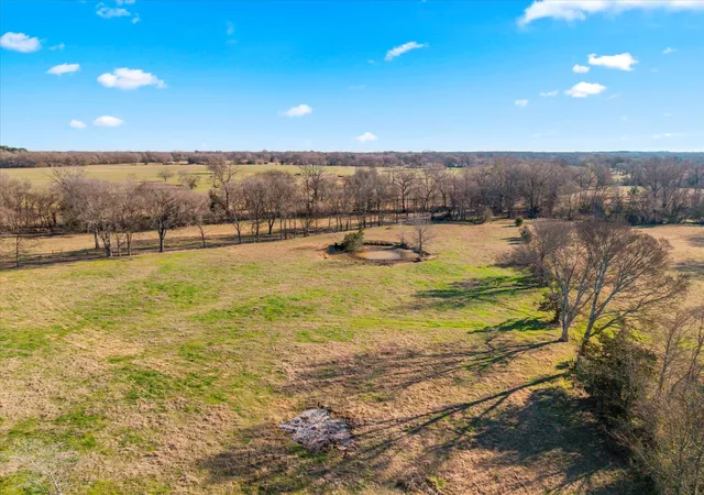 Photo 3 of Land for sale at 4315 County Rd, Cookville, TX 75571 | MLS# 11335030 | Listing updated on 2026-06-16