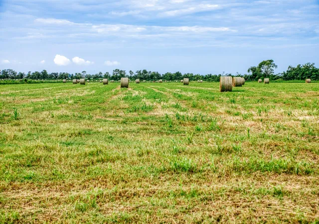 Photo 22 of Land for sale at 0 Richard Frey Rd, Waller, TX 77484 | MLS# 97327694 | Listing updated on 2026-09-11