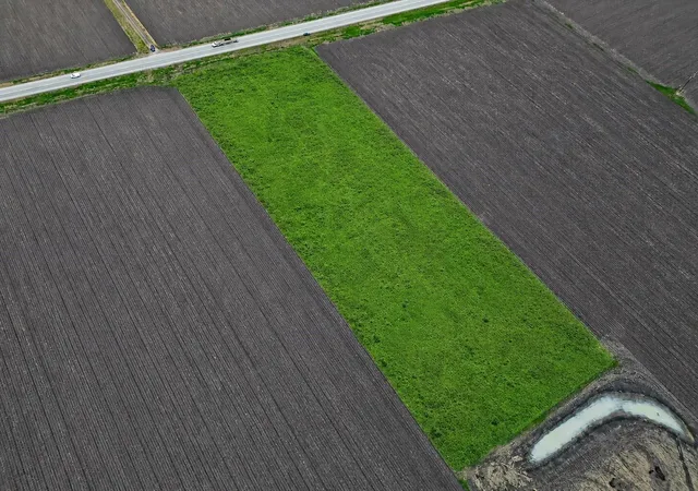 Photo 3 of Land for sale at 0 Tx 71, Garwood, TX 77442 | MLS# 48512695 | Listing updated on 2026-08-19