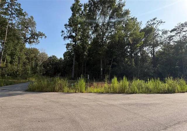 Photo 1 of Land for sale at 232 County Rd 6311, Dayton, TX 77535 | MLS# 39203111 | Listing updated on 2026-06-22