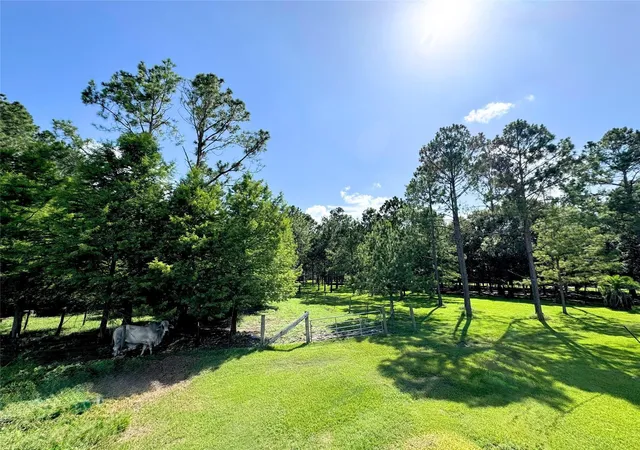 Photo 2 of Land for sale at 00000 County Rd 540, Alvin, TX 77511 | MLS# 75296407 | Listing updated on 2026-09-14