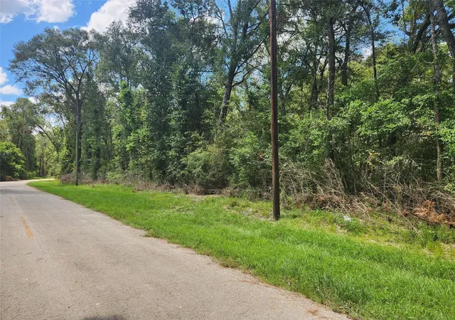 Photo 2 of Land for sale at Tbd Idlewild, New Caney, TX 77357 | MLS# 18291416 | Listing updated on 2026-03-30