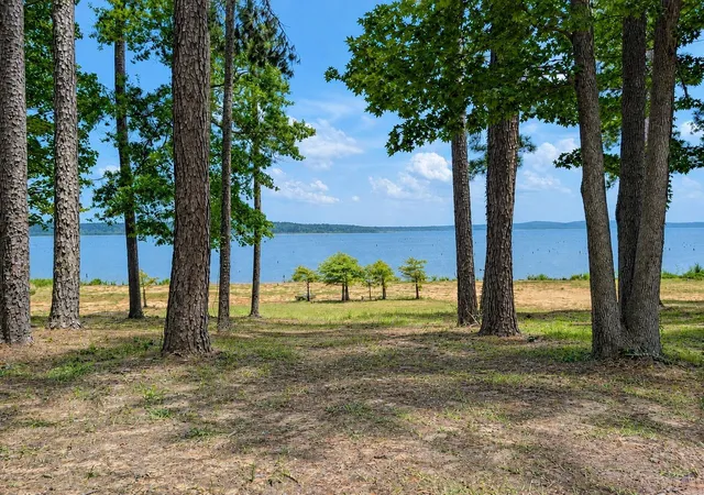 Photo 3 of Single family home for sale at 636 Campoli Rd, Etoile, TX 75944 | MLS# 67952727 | Listing updated on 2026-09-25