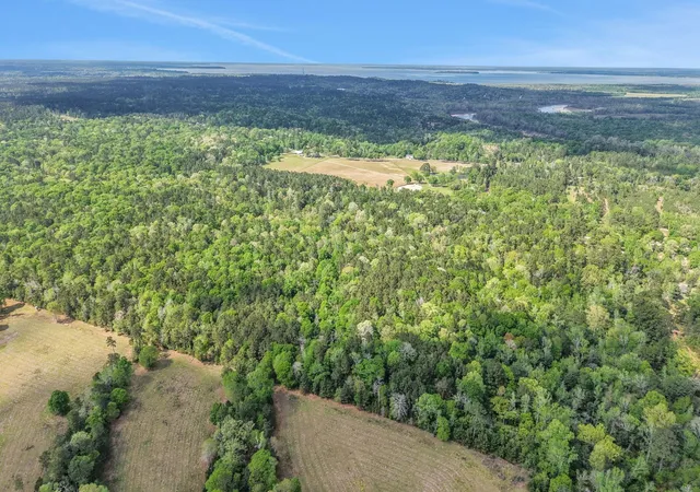 49th image of 1290 Spring Ridge Rd, Coldspring, TX 77331 | MLS# 58581169