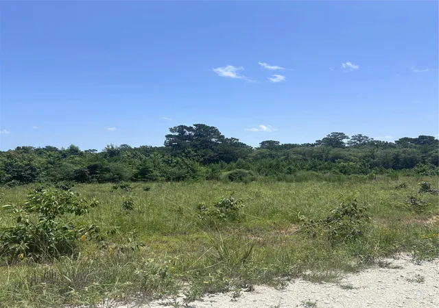 3rd image of Tbd Canopy Ridge, Kennard, TX 75847 | MLS# 10566766