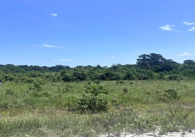 4th image of Tbd Canopy Ridge, Kennard, TX 75847 | MLS# 10566766