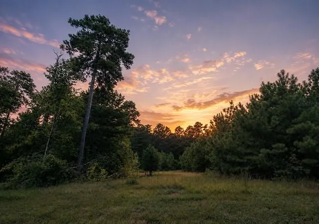 Photo 1 of Land for sale at 15881 Wood Grv Way, Willis, TX 77378 | MLS# 8493985 | Listing updated on 2026-08-21