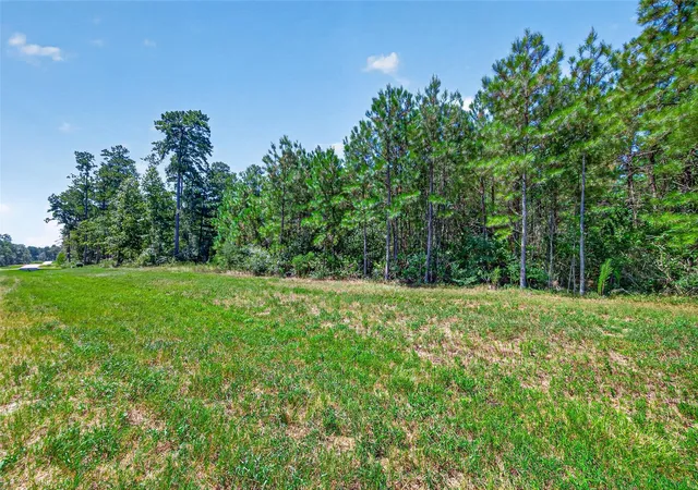 Photo 3 of Land for sale at 15881 Wood Grv Way, Willis, TX 77378 | MLS# 8493985 | Listing updated on 2026-08-21