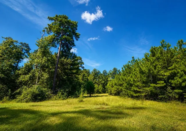 Photo 4 of Land for sale at 15881 Wood Grv Way, Willis, TX 77378 | MLS# 8493985 | Listing updated on 2026-08-21