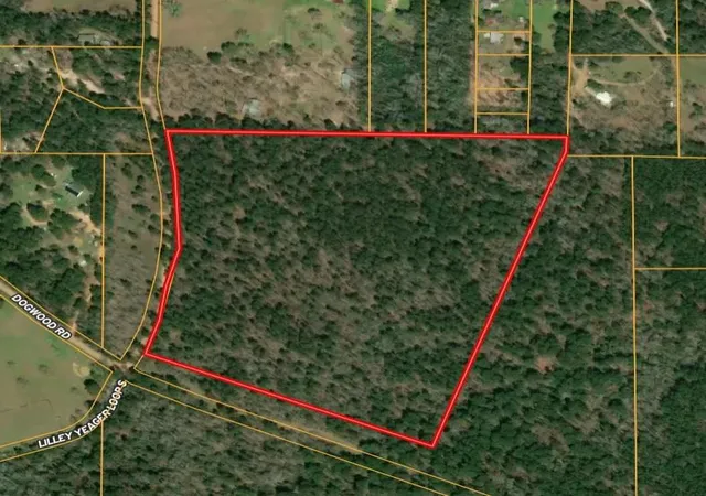 1st image of Tbd (31) Lilley Yeager Loop N, Cleveland, TX 77328 | MLS# 74805442