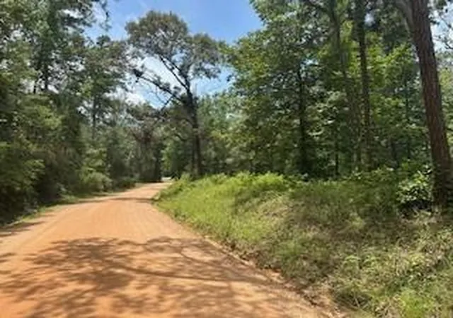 3rd image of Tbd (31) Lilley Yeager Loop N, Cleveland, TX 77328 | MLS# 74805442
