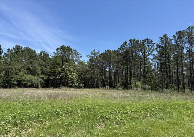 Photo 1 of Land for sale at 165 Queen Anne Way, Huntsville, TX 77340 | MLS# 10248929 | Listing updated on 2026-07-29