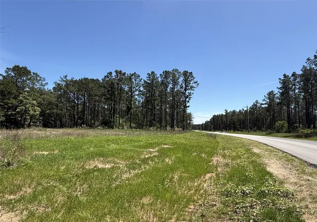 Photo 2 of Land for sale at 165 Queen Anne Way, Huntsville, TX 77340 | MLS# 10248929 | Listing updated on 2026-07-29