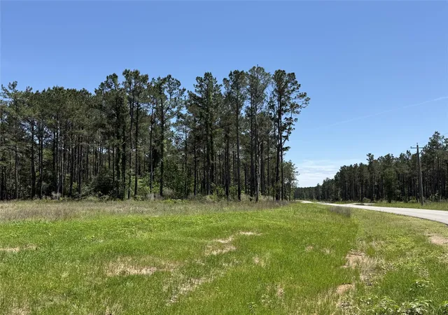Photo 3 of Land for sale at 165 Queen Anne Way, Huntsville, TX 77340 | MLS# 10248929 | Listing updated on 2026-07-29
