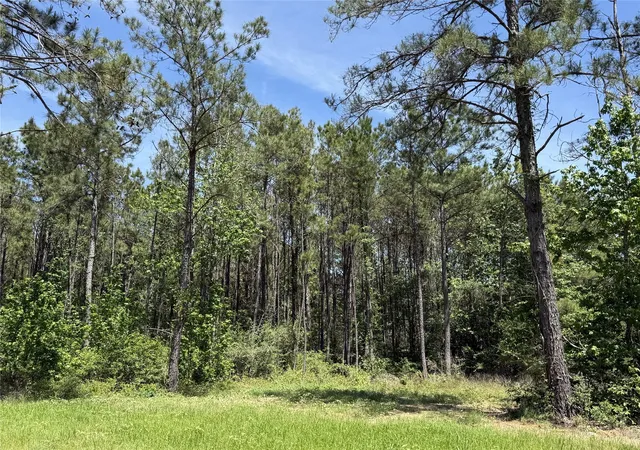 Photo 4 of Land for sale at 165 Queen Anne Way, Huntsville, TX 77340 | MLS# 10248929 | Listing updated on 2026-07-29