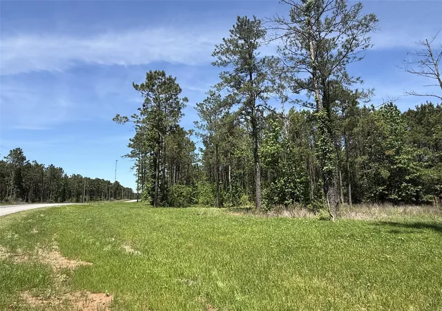 Photo 8 of Land for sale at 165 Queen Anne Way, Huntsville, TX 77340 | MLS# 10248929 | Listing updated on 2026-07-29