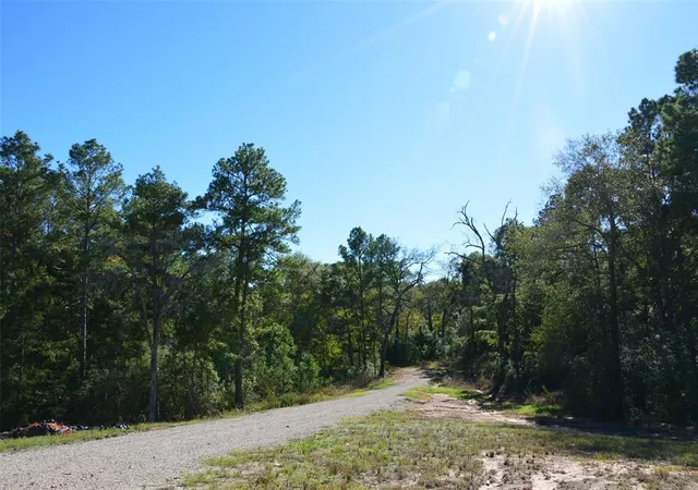 22nd image of Tract #1 Sh 249, Navasota, TX 77868 | MLS# 67717699