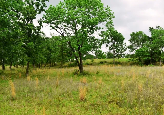 Homes for sale in Buffalo, TX | Tbd Fcr 421 W, Buffalo, TX 75831 | MLS# 61910406