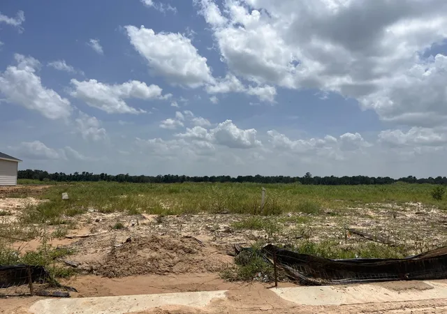 23rd image of 25736 John Wayne Rd, Splendora, TX 77372 | MLS# 48057034