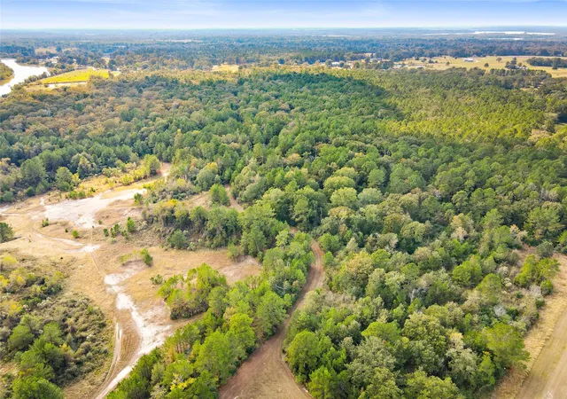 Photo 12 of Land for sale at Lot 35 Lake Livingston Ln, Trinity, TX 75862 | MLS# 23967876 | Listing updated on 2025-11-07