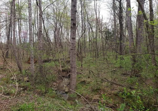 2nd image of 7092 Porter Dr, Oxford, NC 27565 | MLS# 2012726