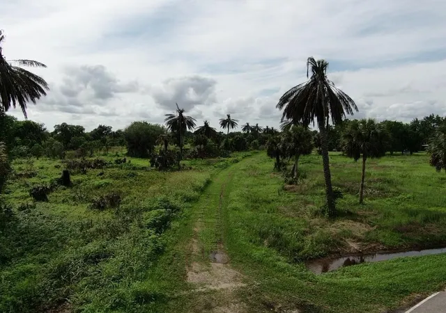 22nd image of Lot 220 County Road 461 A, Brazoria, TX 77422 | MLS# 93319527
