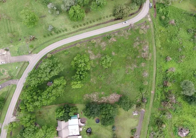 Photo 3 of Land for sale at Lot 220 County Rd 461 A, Brazoria, TX 77422 | MLS# 93319527 | Listing updated on 2026-06-08