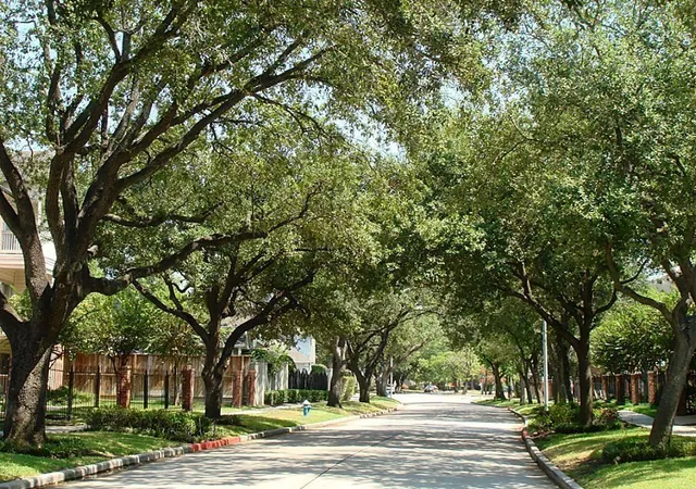 2nd image of 4041 Law St #606, Houston, TX 77005 | MLS# 71465986