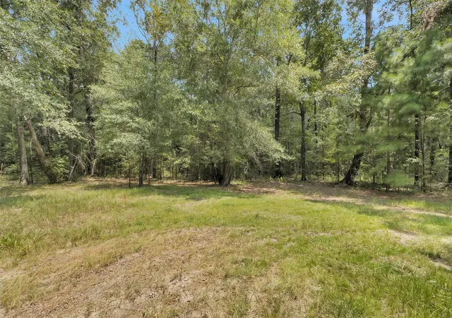4th image of 685 County Road 2174, Cleveland, TX 77327 | MLS# 98673165