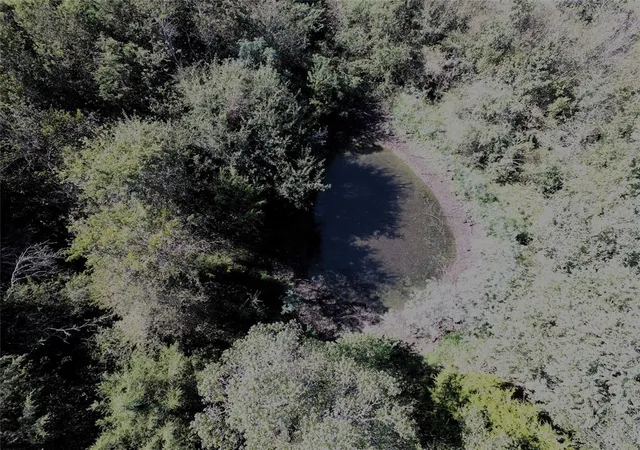 Photo 3 of Land for sale at Tbd Fm 1371, Chappell Hill, TX 77426 | MLS# 63445115 | Listing updated on 2026-08-17