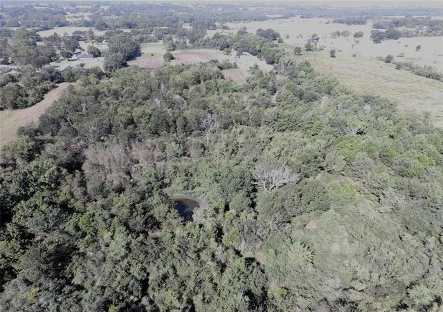 Photo 4 of Land for sale at Tbd Fm 1371, Chappell Hill, TX 77426 | MLS# 63445115 | Listing updated on 2026-08-17