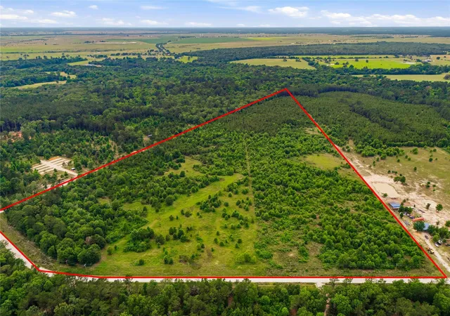 Homes for sale in Lovelady, TX | 2564 Pr 8160, Lovelady, TX 75851 | MLS# 26120161
