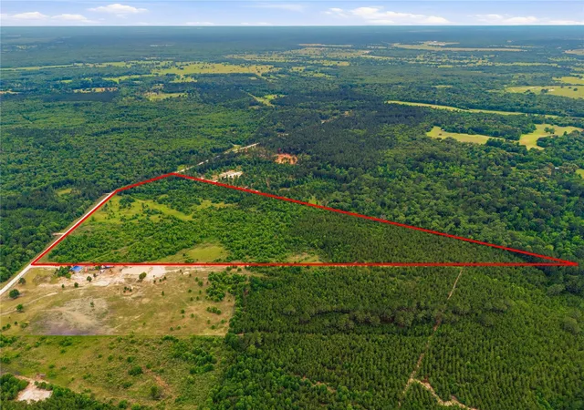 Homes for sale in Lovelady, TX | 2564 Pr 8160, Lovelady, TX 75851 | MLS# 26120161