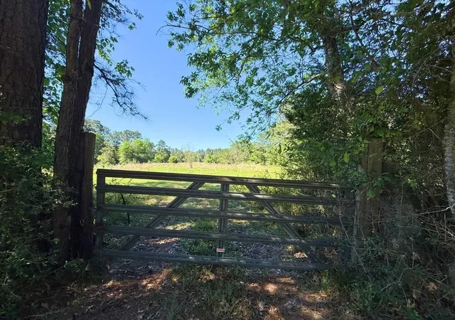 4th image of 0 Hwy 150, Coldspring, TX 77331 | MLS# 34976382