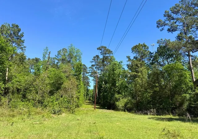5th image of 0 Hwy 150, Coldspring, TX 77331 | MLS# 34976382