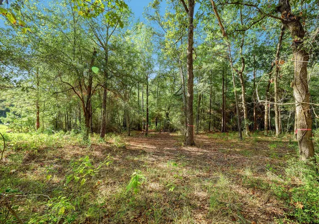 Photo 14 of Land for sale at 189 Rim Rock Rd, Huntsville, TX 77340 | MLS# 69251494 | Listing updated on 2026-07-17