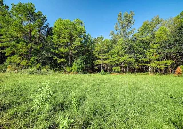 Photo 2 of Land for sale at 189 Rim Rock Rd, Huntsville, TX 77340 | MLS# 69251494 | Listing updated on 2026-07-17