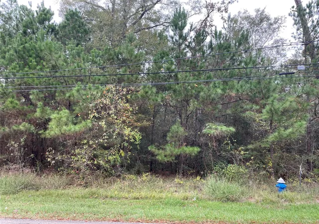 3rd image of 000 Big Deer Dr, Crosby, TX 77532 | MLS# 94031813