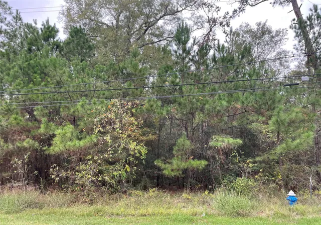 4th image of 000 Big Deer Dr, Crosby, TX 77532 | MLS# 94031813
