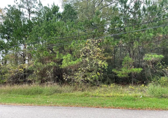 5th image of 000 Big Deer Dr, Crosby, TX 77532 | MLS# 94031813