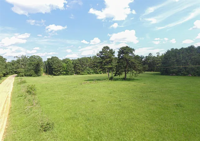Photo 1 of Land for sale at 3524 Holly Grv Rd, Livingston, TX 77351 | MLS# 9044656 | Listing updated on 2026-06-01
