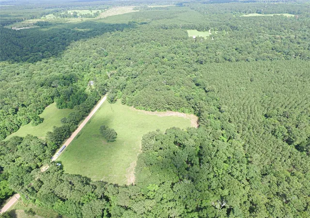 Photo 3 of Land for sale at 3524 Holly Grv Rd, Livingston, TX 77351 | MLS# 9044656 | Listing updated on 2026-06-01