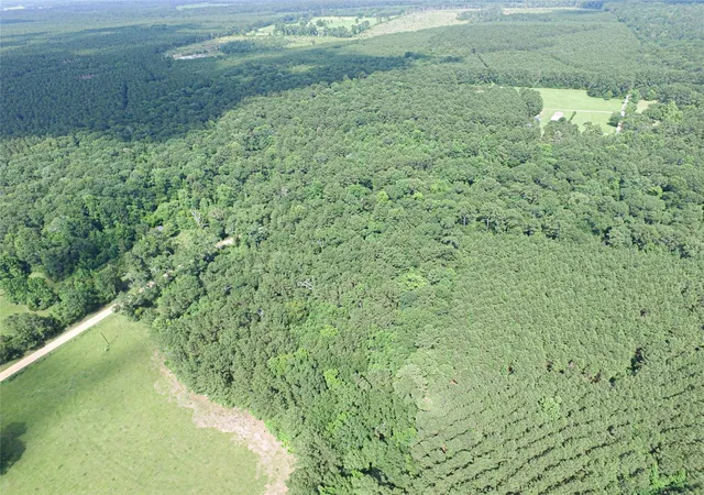 Photo 4 of Land for sale at 3524 Holly Grv Rd, Livingston, TX 77351 | MLS# 9044656 | Listing updated on 2026-06-01