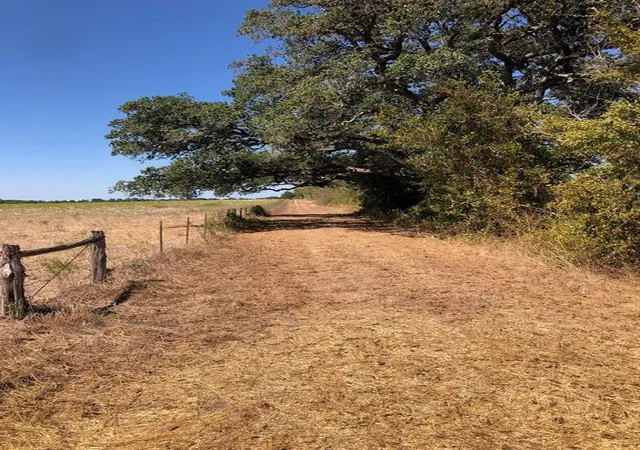 Homes for sale in Weimar, TX | Tbd County Road 245, Weimar, TX 78962 | MLS# 38410179
