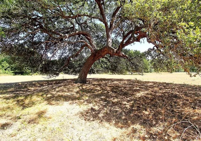 Homes for sale in Weimar, TX | Tbd County Road 245, Weimar, TX 78962 | MLS# 38410179