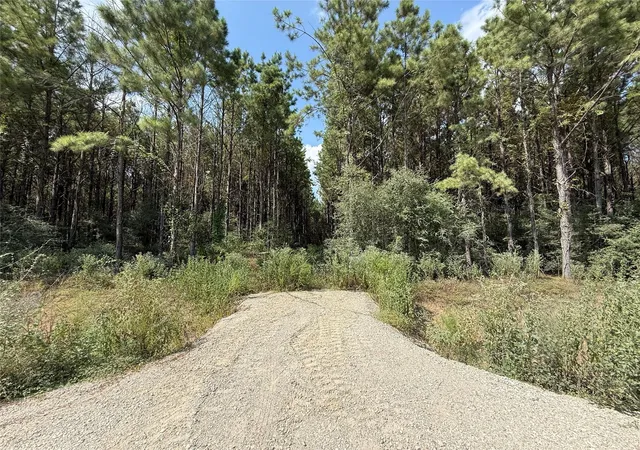Photo 1 of Land for sale at 5700 Black Cat Rd, Sour Lake, TX 77659 | MLS# 97333773 | Listing updated on 2026-08-27