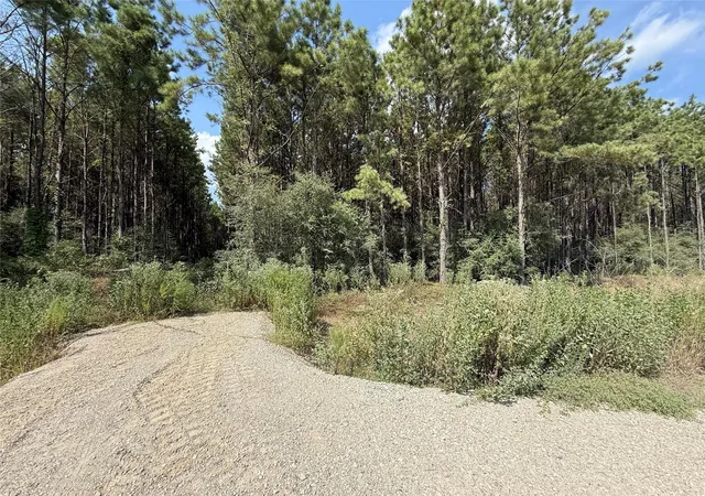 Photo 3 of Land for sale at 5700 Black Cat Rd, Sour Lake, TX 77659 | MLS# 97333773 | Listing updated on 2026-08-27