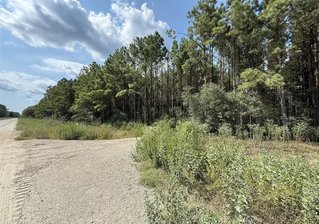 Photo 3 of Land for sale at 5700 Black Cat Rd, Sour Lake, TX 77659 | MLS# 97333773 | Listing updated on 2026-08-27
